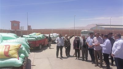 محافظ السويس: التنسيق الكامل بين الجهات لضمان نجاح موسم حصاد القمح