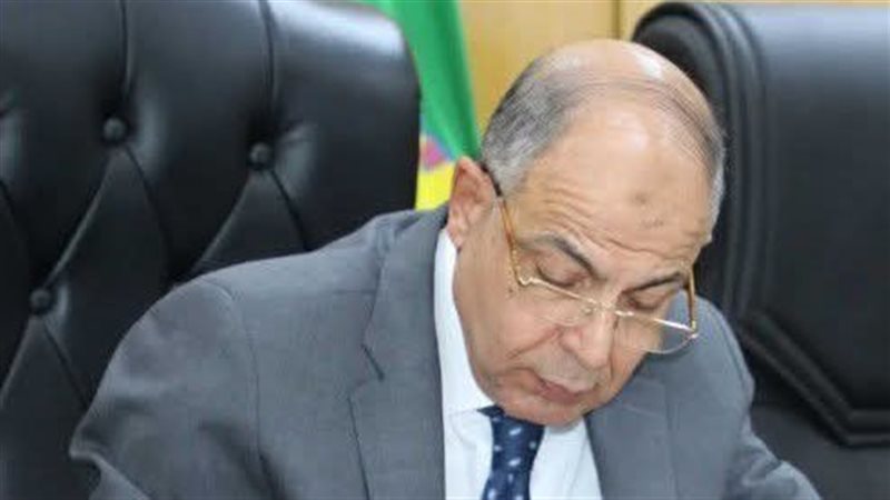 محافظ المنيا