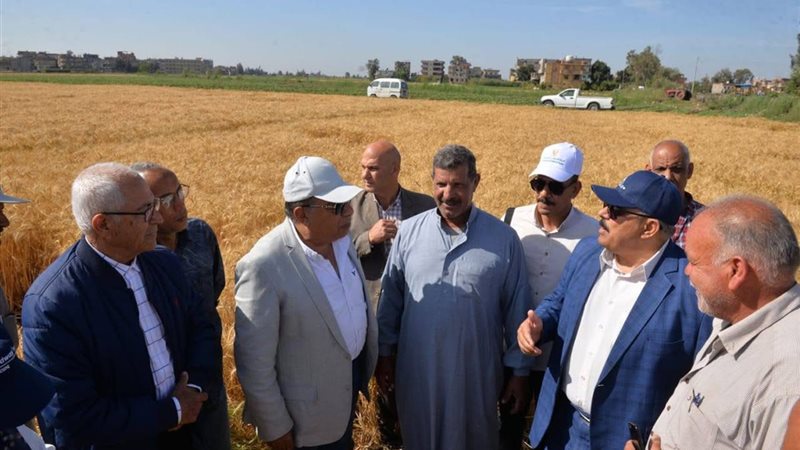 محافظ الدقهلية