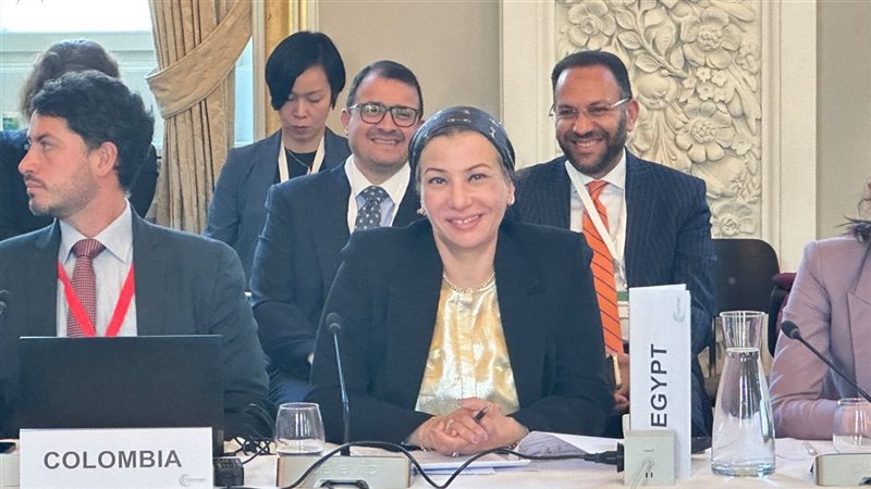 الدكتورة ياسمين فؤاد