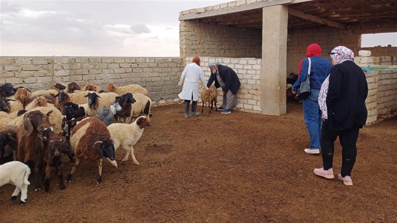 الكشف عن 3700 حالة