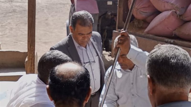 توريد محصول القمح