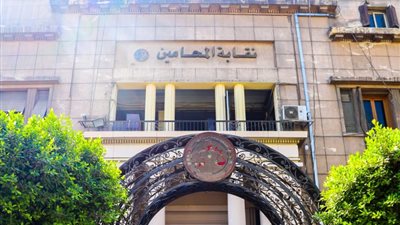 بعد الإضراب.. أمين نقابة جنوب الدقهلية: بدون تدخل الرئاسة لن يكون في نتيجة