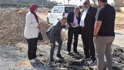 نقابة المهندسين: سائق 