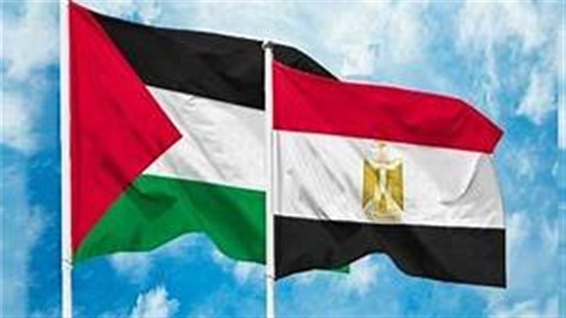 مصر لن تقبل بتصفية