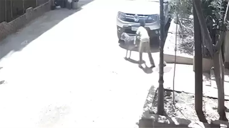فيديو التحرش