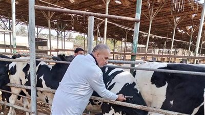 «الزراعة» ننفذ مبادىء الربط بين صحة الإنسان والحيوان والبيئة