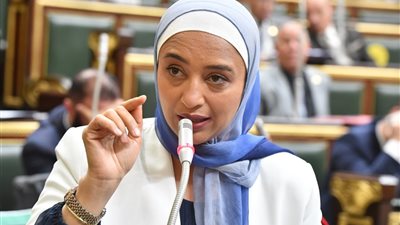 النائبة أميرة أبوشقة تطالب بإنشاء المجلس الأعلى للمواطن