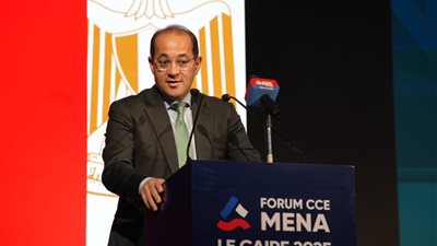 وزير المالية: الاقتصاد المصرى يتحرك بخطى جيدة.. ويوفر فرصًا استثمارية كبيرة