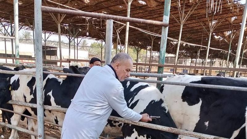 الهيئة العامة للخدمات