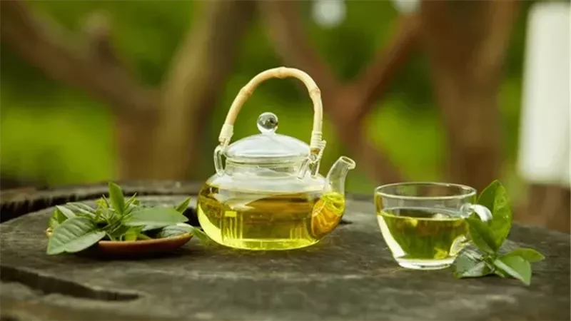 عشبة الخلود