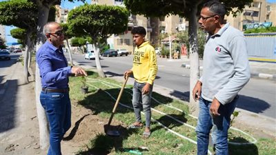 ضمن مبادرة 100 مليون شجرة.. بدء المرحلة الخامسة لزراعة الأشجار ببورفؤاد