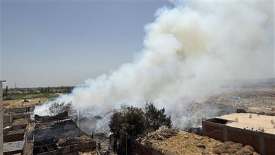 النار امتدت من مزرعة مواشي.. كتلة لهب تلتهم محصول الكتان في الغربية 