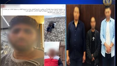 بيستخدمها لإيواء الكلاب الضالة.. الأمن يكشف حقيقة اقتحام قطعة أرض بالمرج