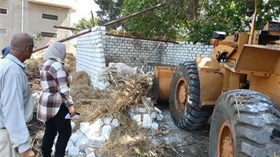 بالتنسيق مع الشرطة.. محافظ الدقهلية يتابع أعمال التصدى لمخالفات البناء