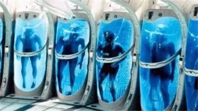 28 ألف دولار للحياة بعد الموت.. عائلة أمريكية راهنت على الطب المستقبلي