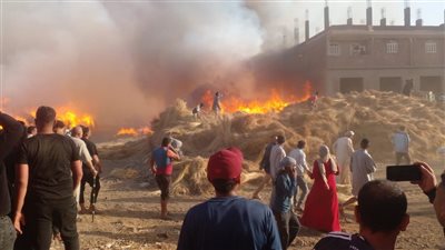 حريق جديد يلتهم شونة كتان بقرية في سمنود والدفع بـ6 سيارات إطفاء 