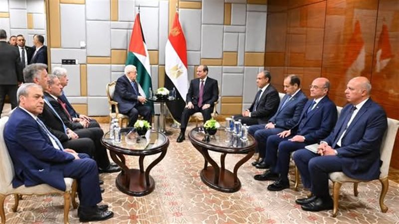 لقاء الرئيس السيسي