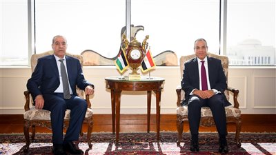 وزير الخارجية يؤكد على استمرار مصر في جهود وساطة وقف إطلاق النار