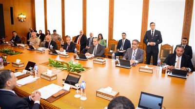 وزير الخارجية يُبرز جهود مصر للارتقاء بأوضاع جهود الإنسان