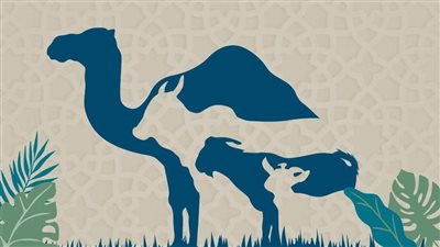 حُكم الأضحية وحِكمة تشريعها وشروطها.. مركز الأزهر للفتوى يوضح