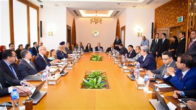 وزير الخارجية يشيد بجهود المجتمع المدني في تعزيز حقوق الإنسان في مصر