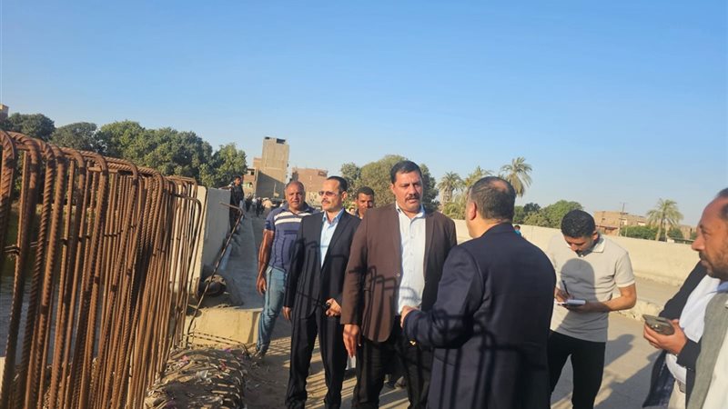محافظ أسيوط