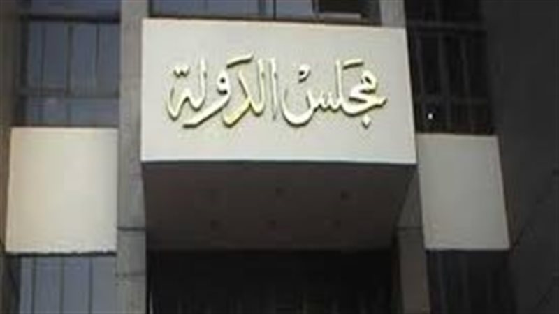 مجلس الدولة 