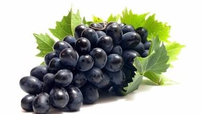 بعد ارتفاع سعر العنب إلى 150 جنيهًا للكيلو.. فواكه بديلة موفرة للميزانية