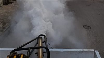 استمرار حملات مكافحة الناموس بالضباب بشوارع مدينة بورفؤاد