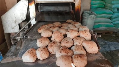 تموين السويس تحرر 46 محضرا متنوعا بحملات علي الأسواق والمحلات التجارية 