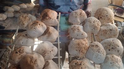 الداخلية تواصل حملاتها على الأسواق.. ضبط مخالفات في المخابز و5 أطنان دقيق