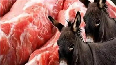 لو أكلت لحم الحمير.. مخاطر صحية حقيقية وتحذيرات من خبراء التغذية
