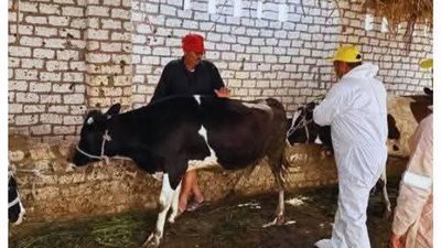 محافظ الإسماعيلية يتابع نشاط مديرية الطب البيطري خلال شهر أبريل