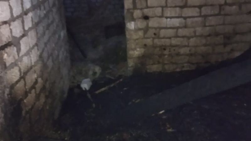 حريق حوش مواشي بسوهاج
