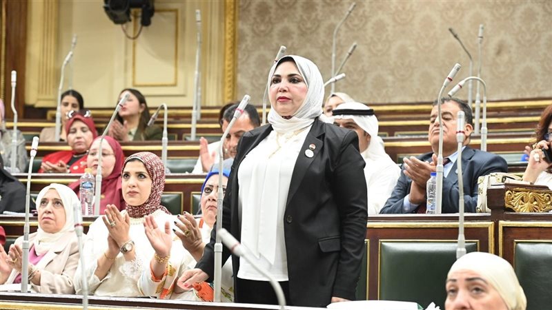 النائبة مرفت عبد