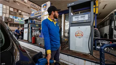 مفيدة شيحة تكشف شروط تعويض 