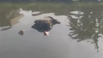 مباحث الجيزة تكثف جهودها لكشف غموض العثور على جثة شخص مجهول الهوية