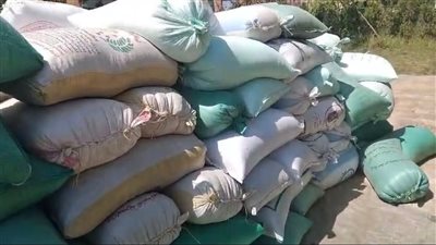 التلاعب بقوت المصريين.. ضبط 50 طن قمح بمخزن حبوب غير مرخص بالباجور