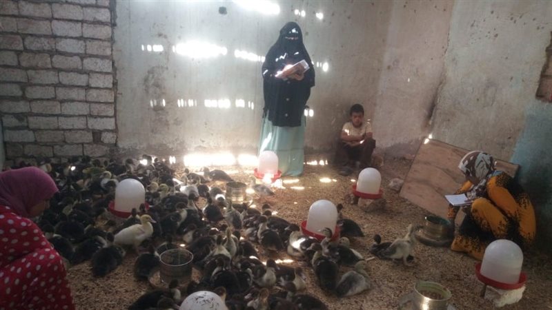 المدارس الحقلية