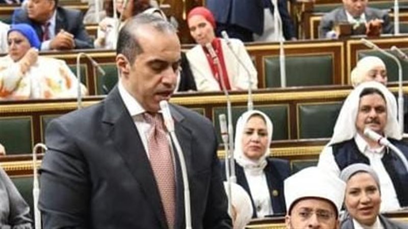 المستشار محمود فوزي