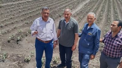 محافظ الشرقية: الندوات الإرشادية تساهم في رفع مستوى المعيشة للفلاح