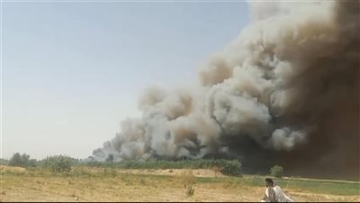 اندلاع حريق هائل في الغابات الشجرية بمنطقة الجبلاو في قنا