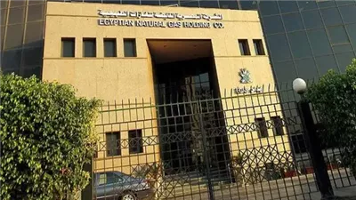 مصر تعقد صفقة مع «هوج إيفي» لاستئجار محطة عائمة لاستيراد الغاز الطبيعي المسال