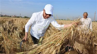 من إطفاء الحرائق لحصد القمح.. محافظين الشو الإعلامي يتصدرون التريند (صور) 