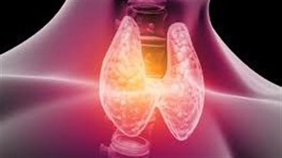 هل يؤثر النظام الغذائي على الغدة الدرقية؟ خبراء يكشفون التفاصيل