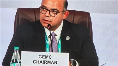 المؤتمر السنوي للأيوسكو: مصر تلعب دورًا محوريًا في تنمية أسواق المال الناشئة