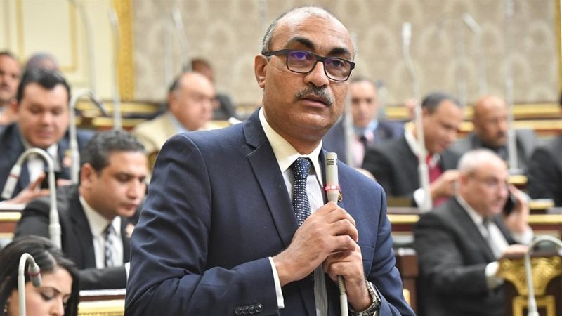 النائب ايهاب منصور