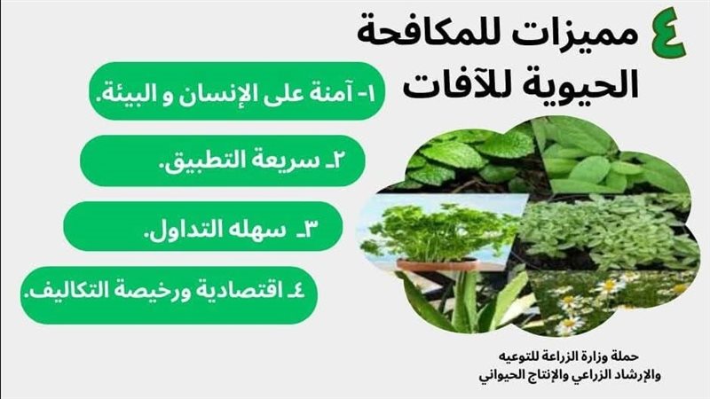 حملة معاك في الغيط