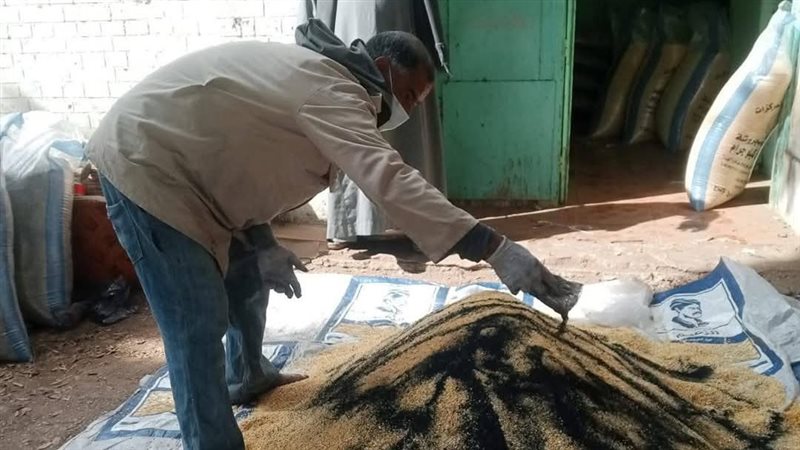 مديرية الزراعة بالمنيا